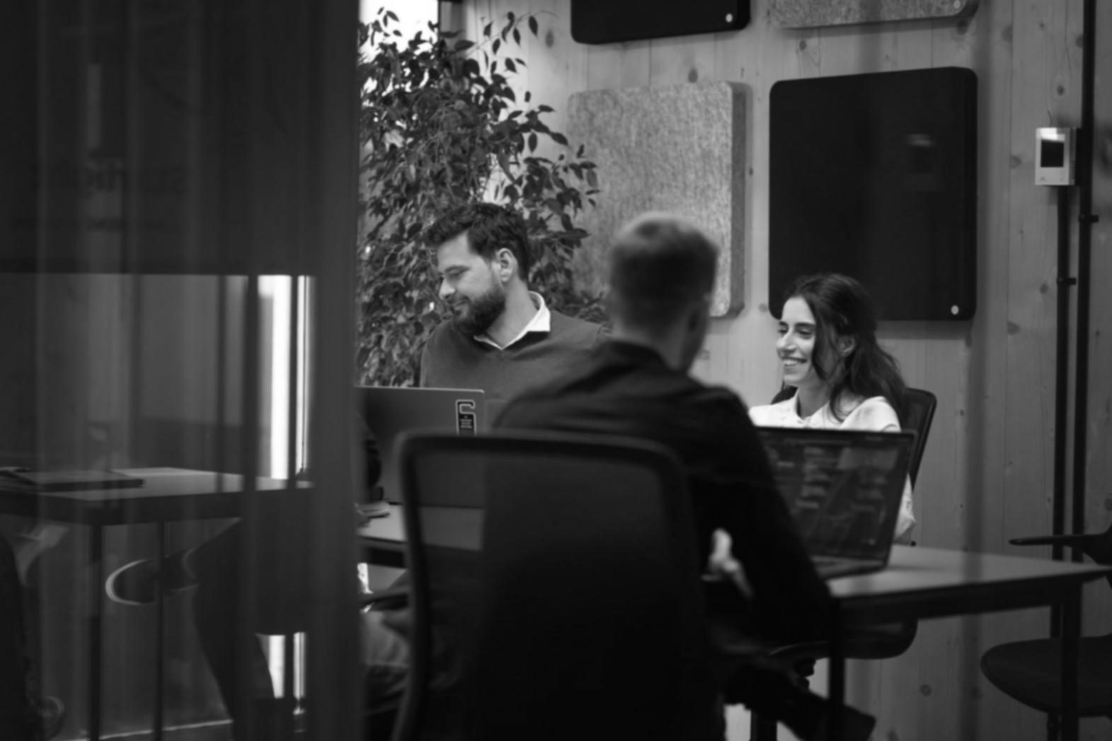Primo studio di palikavora nel 2018